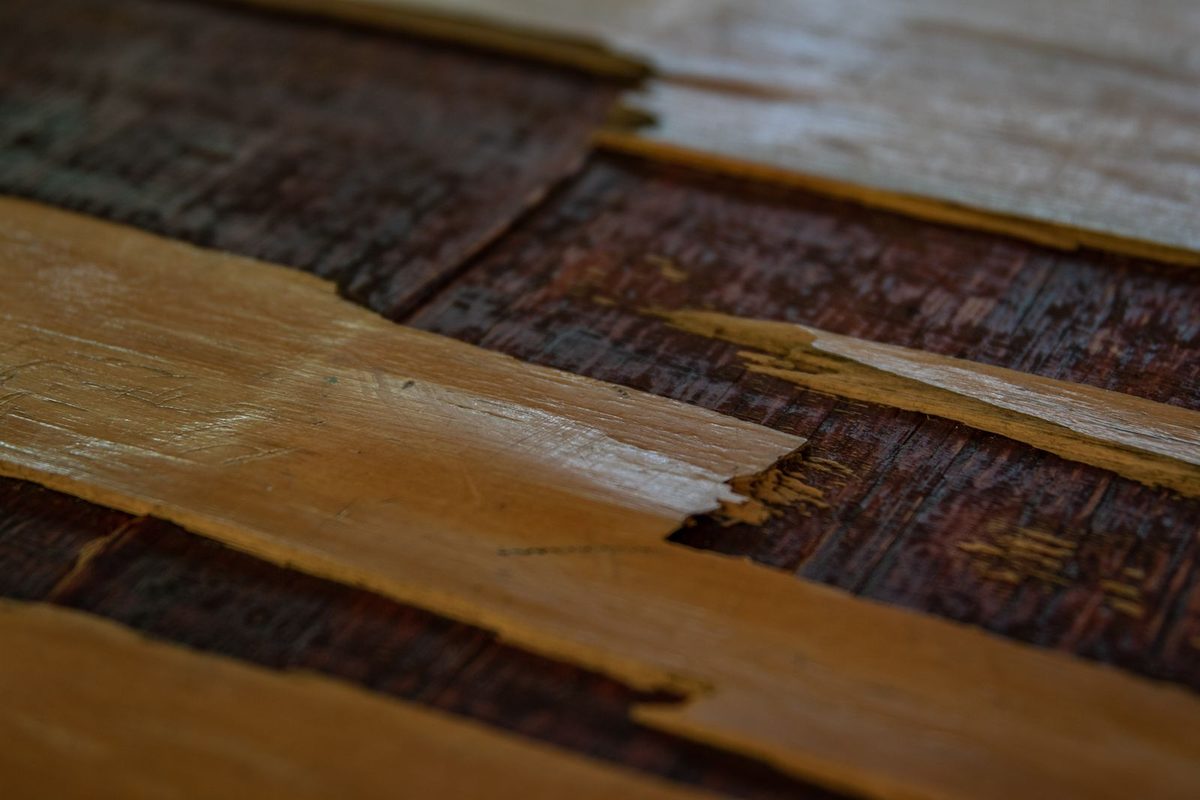 Close-up of damaged, splintered wood floorboards