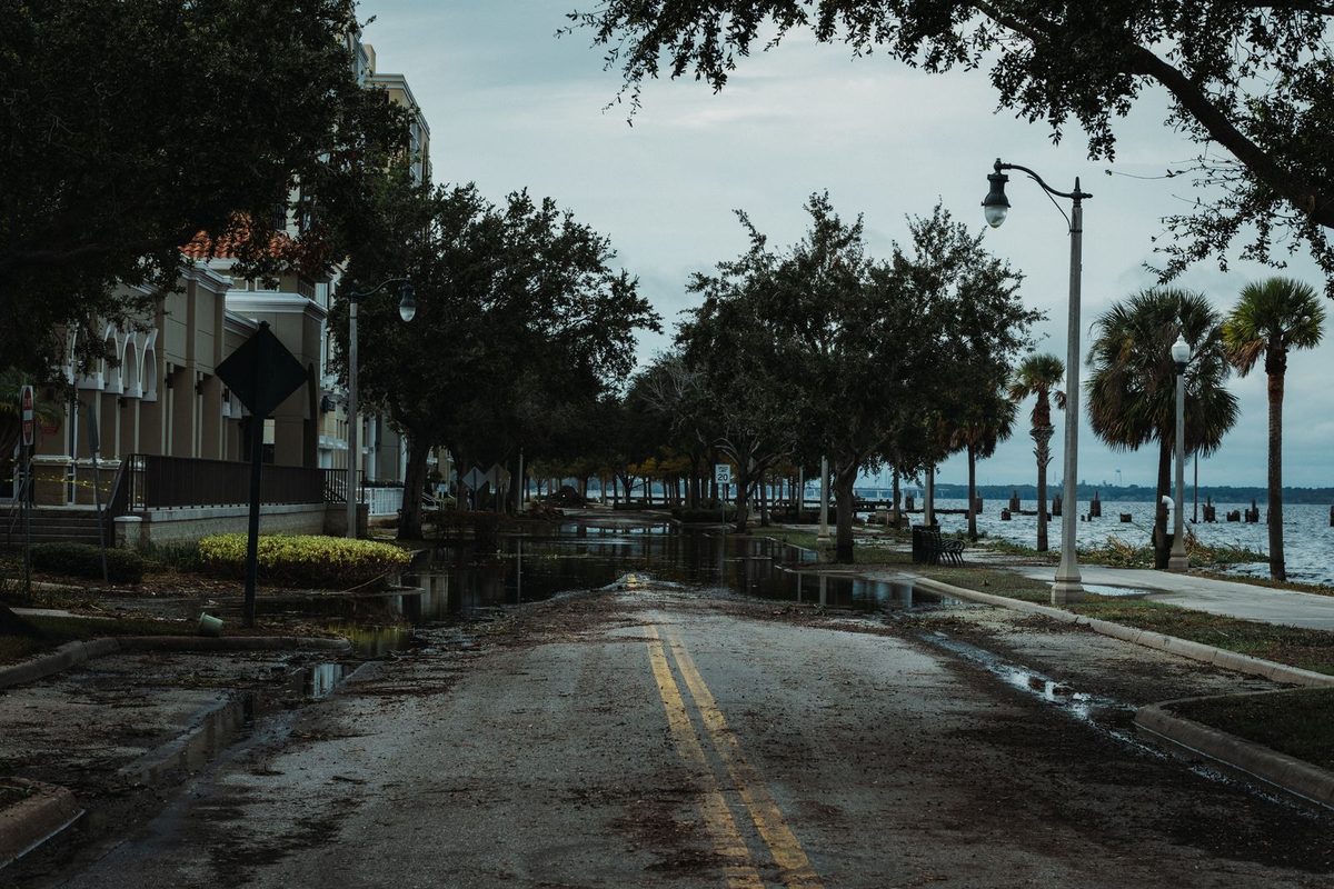 A flooded street lined with palm trees and older buildings beside the water after a storm