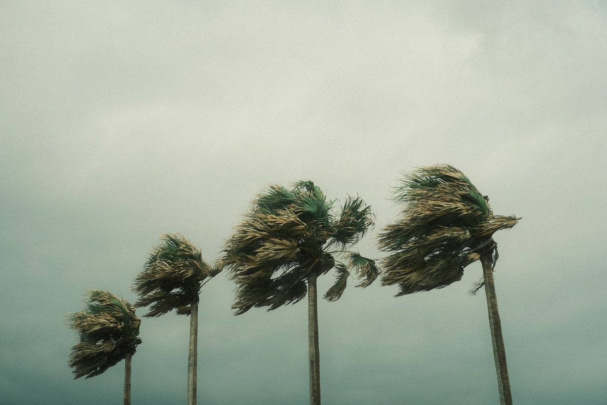 Soffit and fascia damage from wind in Safety Harbor: what storms do to the roof edge