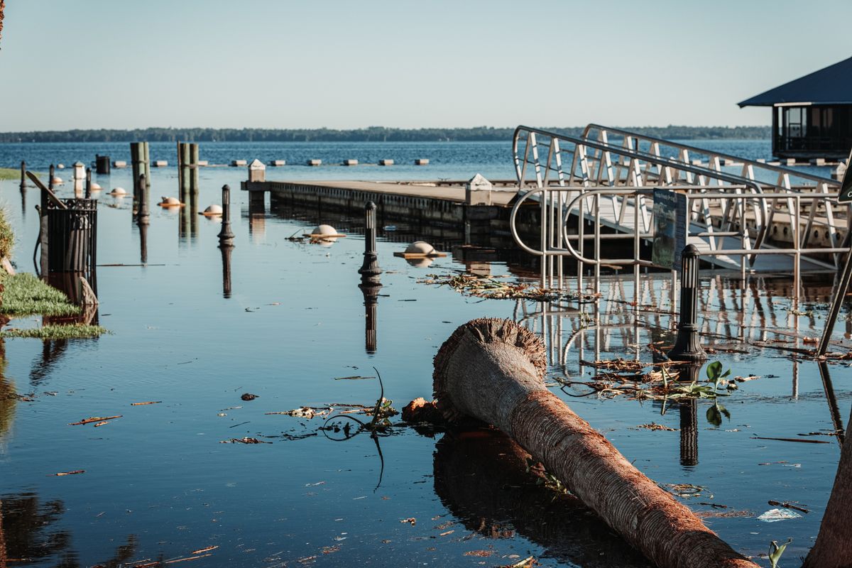 Flooded docks and a fallen tree trunk floating in calm water after a storm